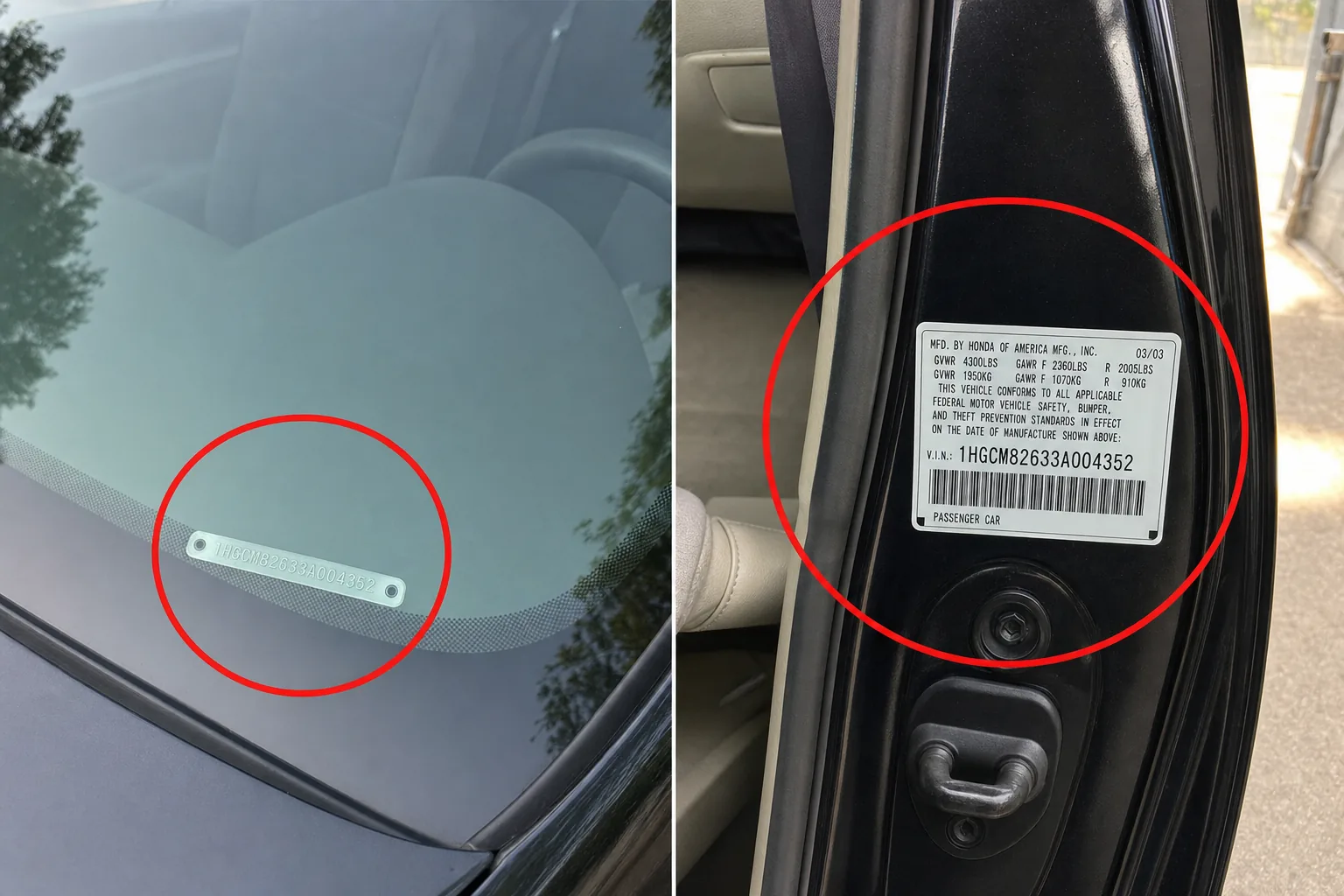 Donde encontrar el VIN: plaquita en la esquina del tablero junto al parabrisas y etiqueta en el marco de la puerta del conductor
